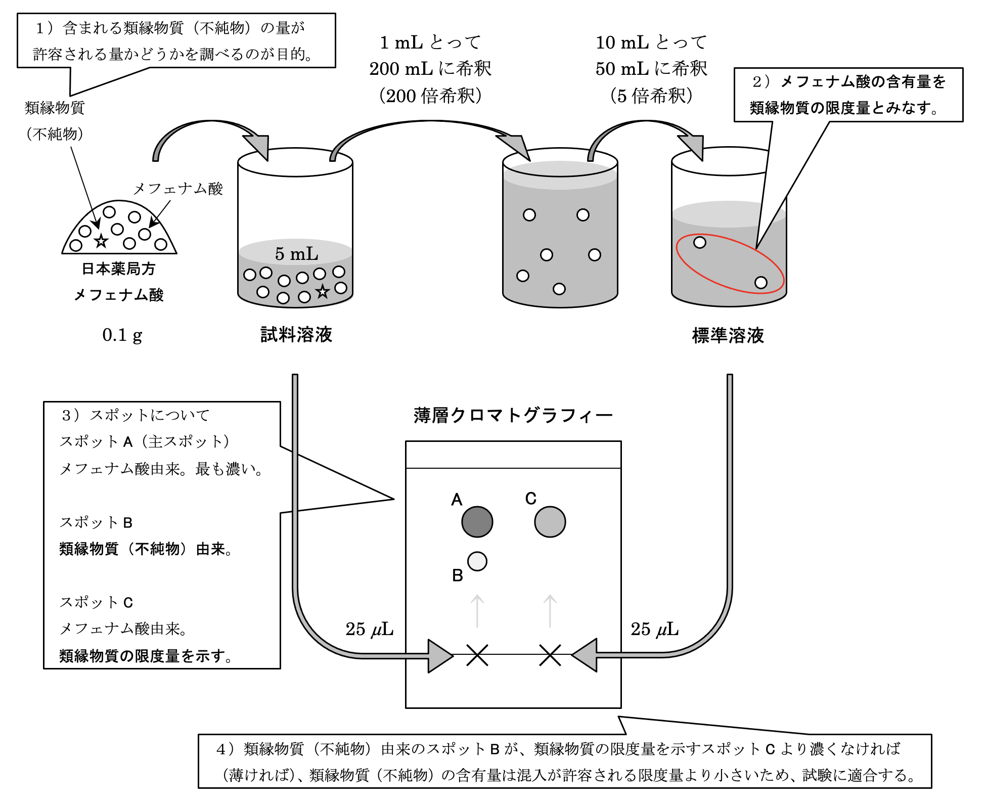 解説画像